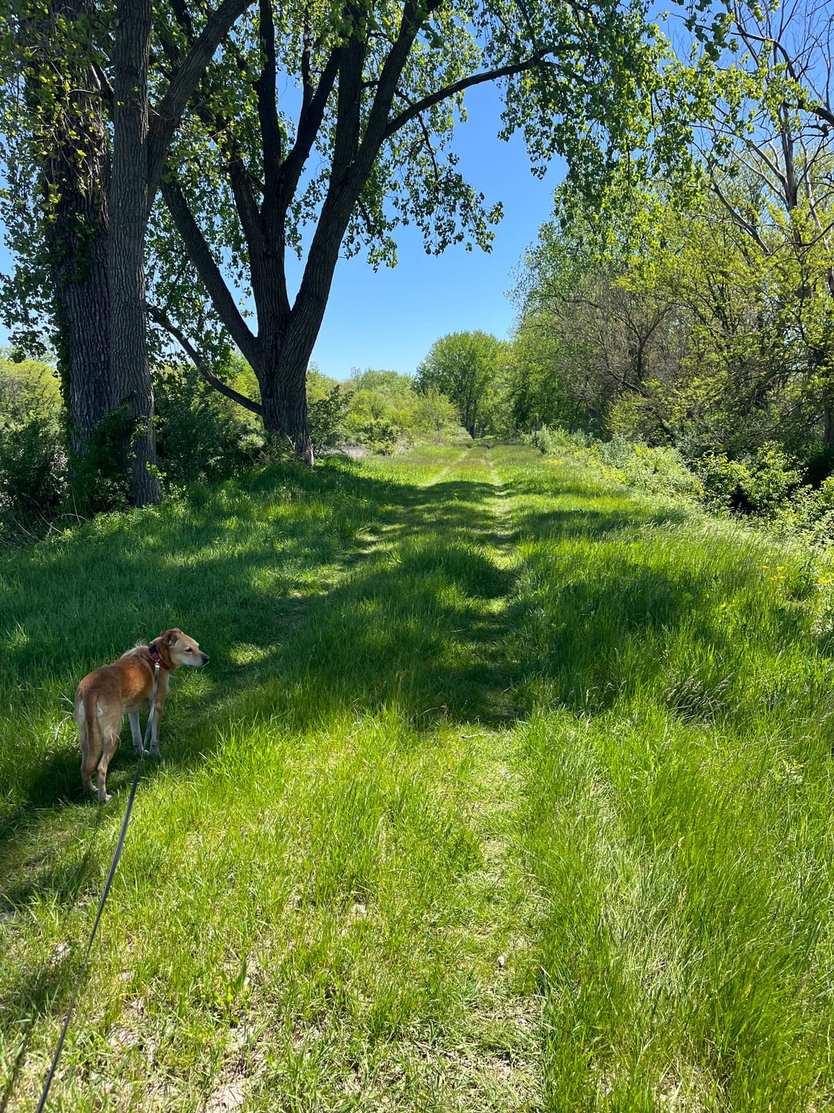 Black oaks wetlands — A Road Trip to South Dakota