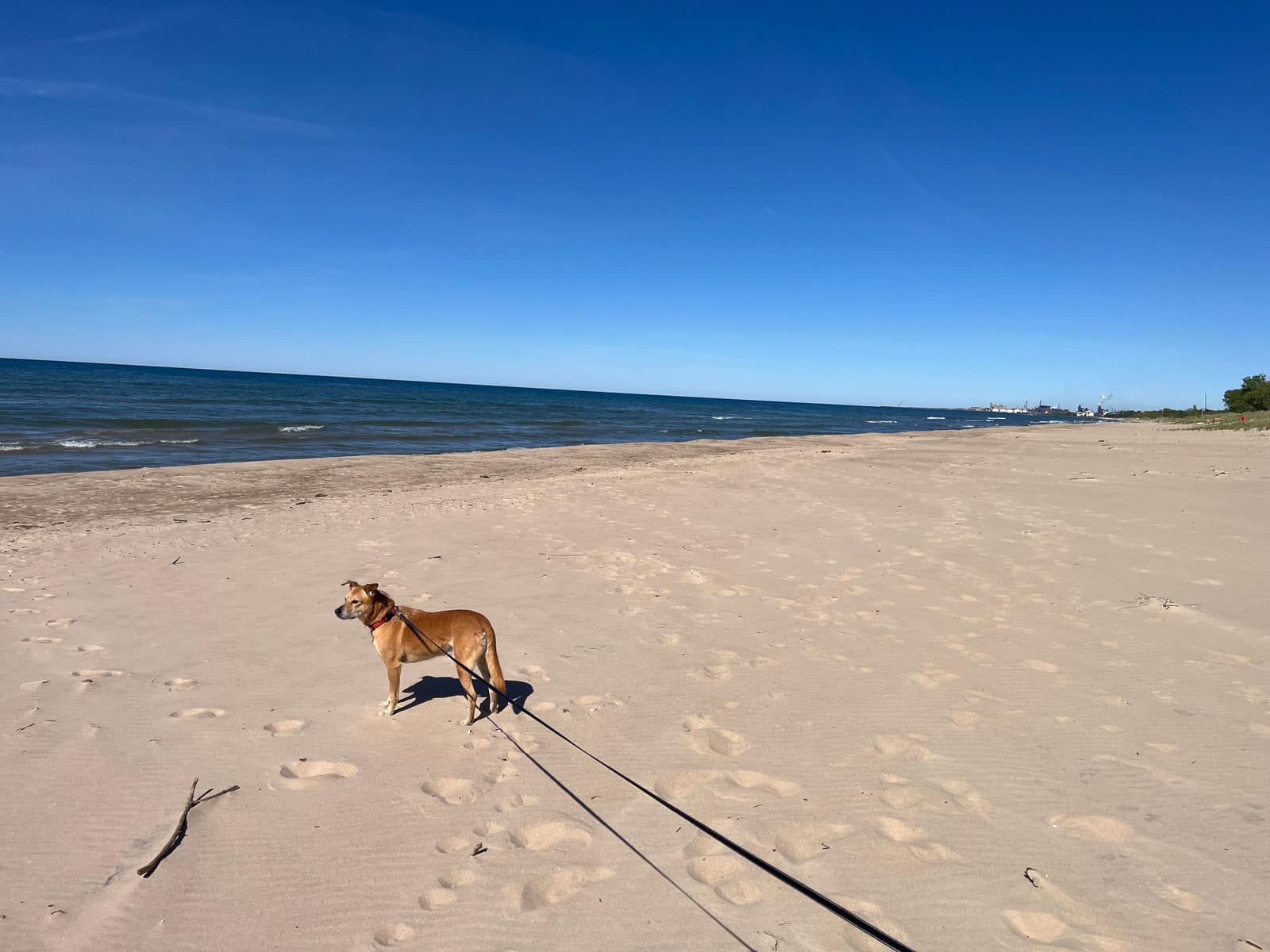 Lake michigan — A Road Trip to South Dakota