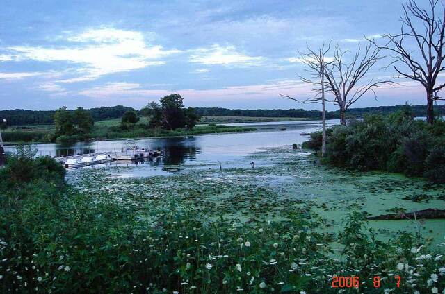 A quiet lake at dusk with a boat dock, bare trees, and wildflowers along the marshy shore