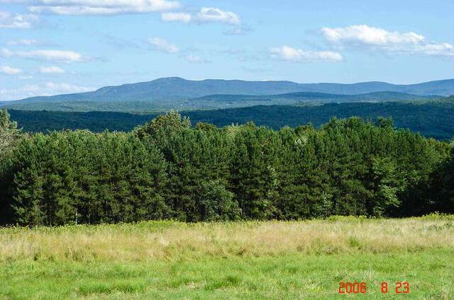 A forested mountain view in Vermont's Green Mountains