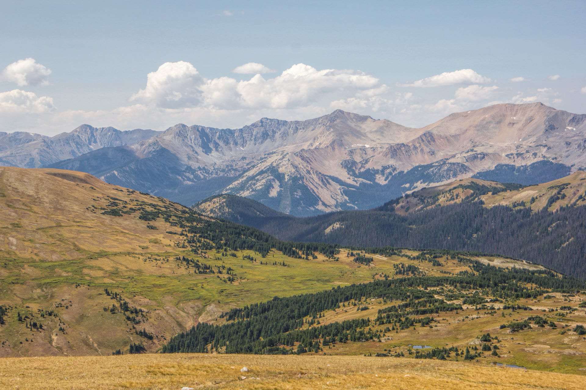 A wide alpine tundra landscape along Trail Ridge Road with layered mountain peaks in the distance