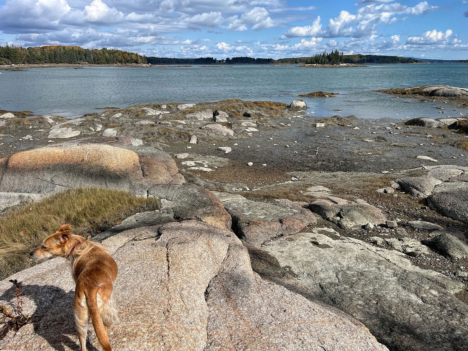 A road trip to Maine