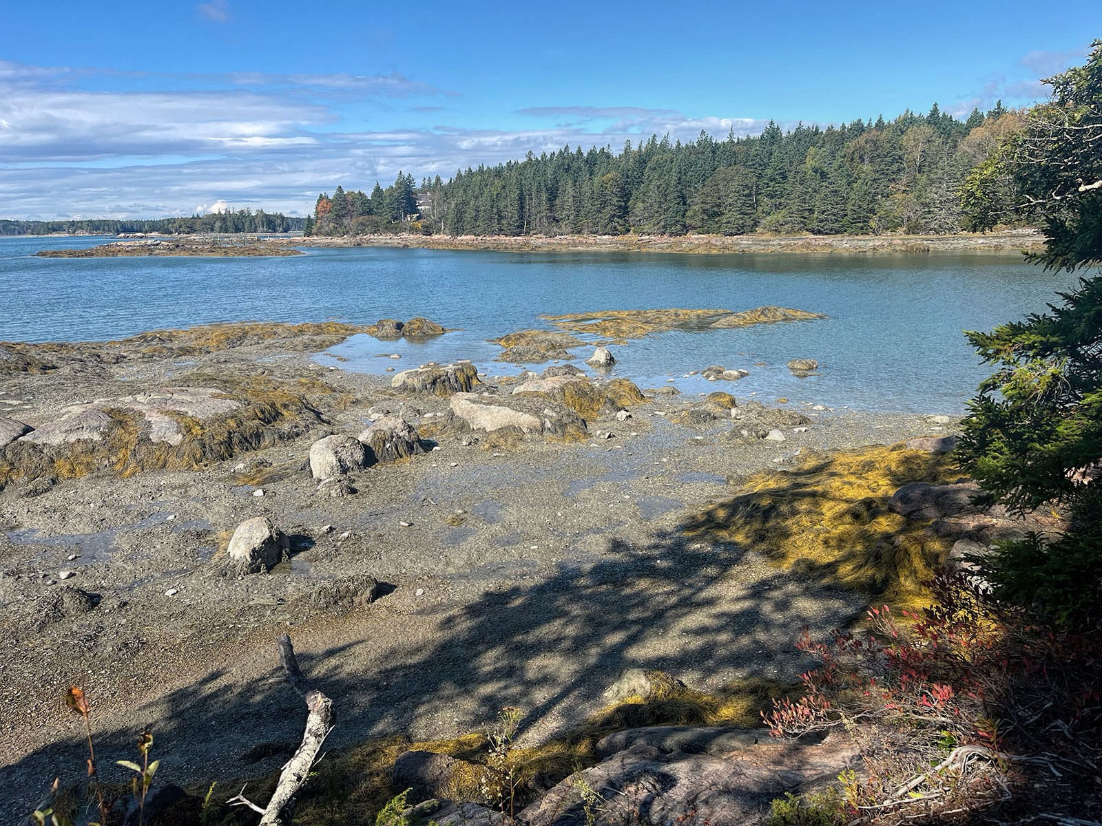 A road trip to Maine