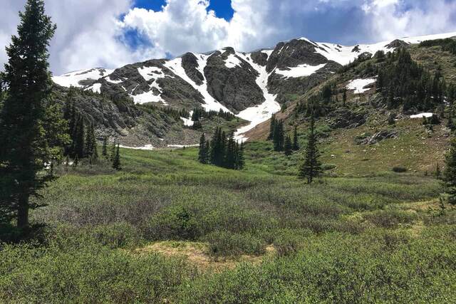 A green meadow leading up to a rocky, snow-streaked mountain bowl under a partly cloudy sky
