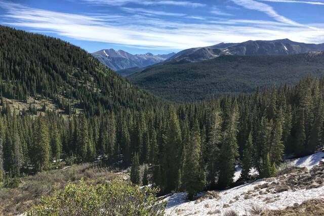 A wide forested valley framed by pine-covered slopes, with rugged snow-patched peaks visible in the distance