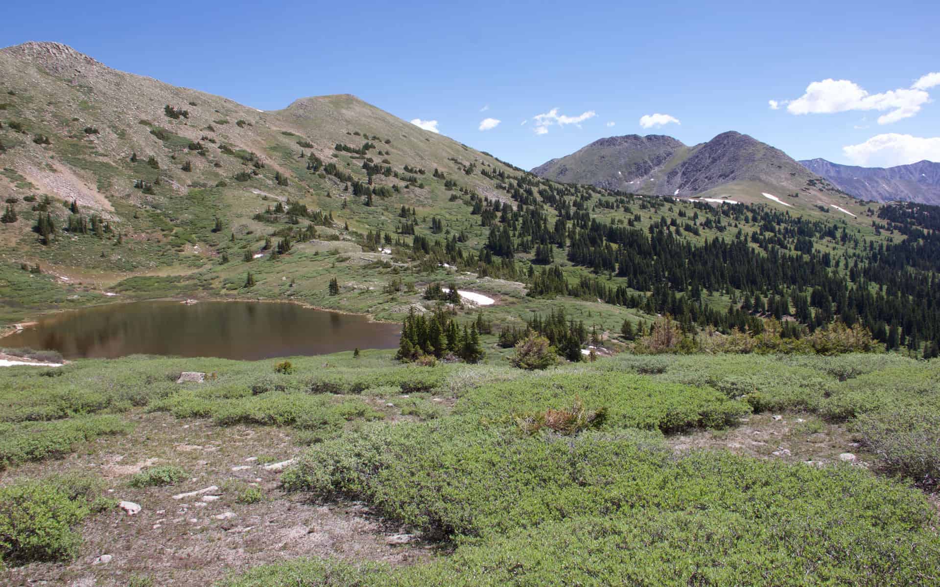 A reddish-brown alpine lake nestled in a green basin, ringed by rolling grassy peaks and pine forest