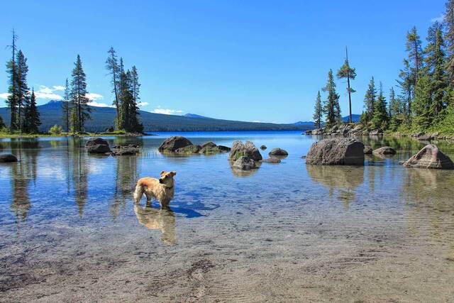 An Oregon sightseeing trip cut short