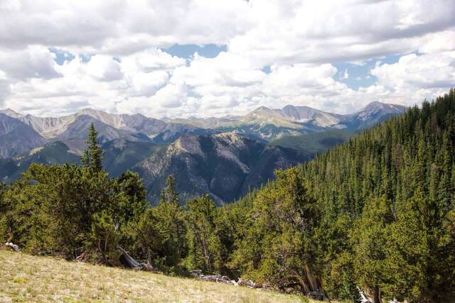 A view over dense pine forest toward layered mountain ridges under a heavily clouded sky
