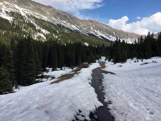 A snow-covered trail winding through pine forest toward a snow-streaked mountain ridge