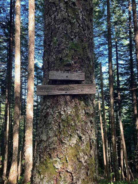 Hand-carved wooden signs reading "Trail" and "Barklow Mt. L.O." nailed to a large mossy tree trunk