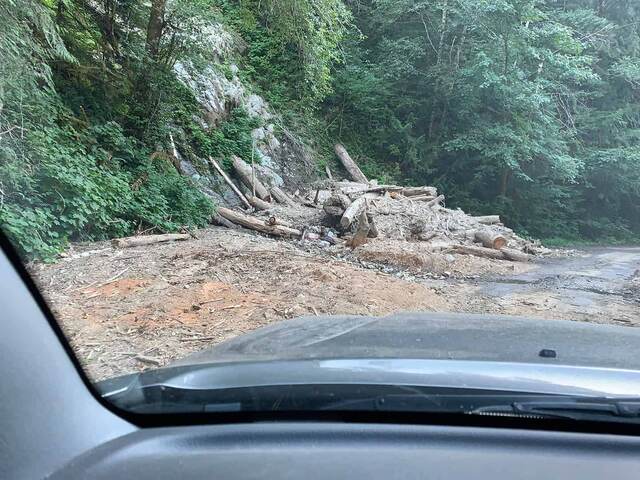 A rockslide of logs and debris blocking part of the narrow forest road, seen from inside the car
