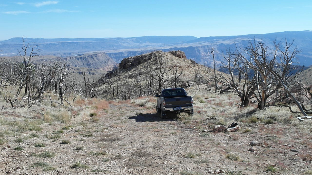 A pickup truck parked on a dirt overlook road surrounded by burned and dead trees