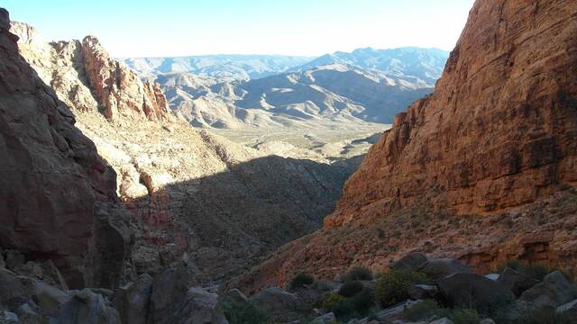 Golden-hour light in a canyon wash between towering red rock walls
