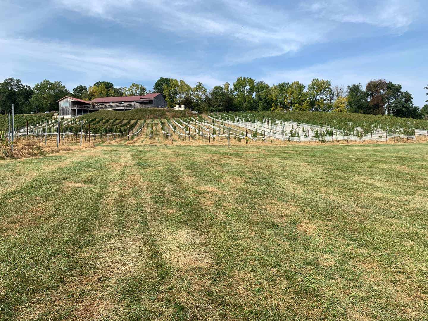 The tasting room and vineyard rows on a hillside at Grandview Vineyard