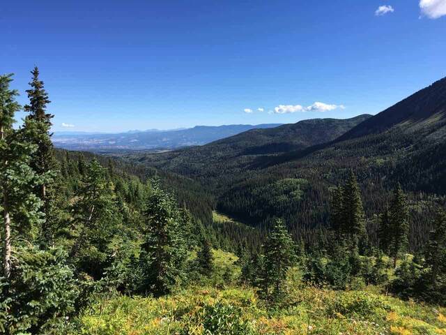 A wide view down a forested valley toward layered mountain ridges under a blue sky