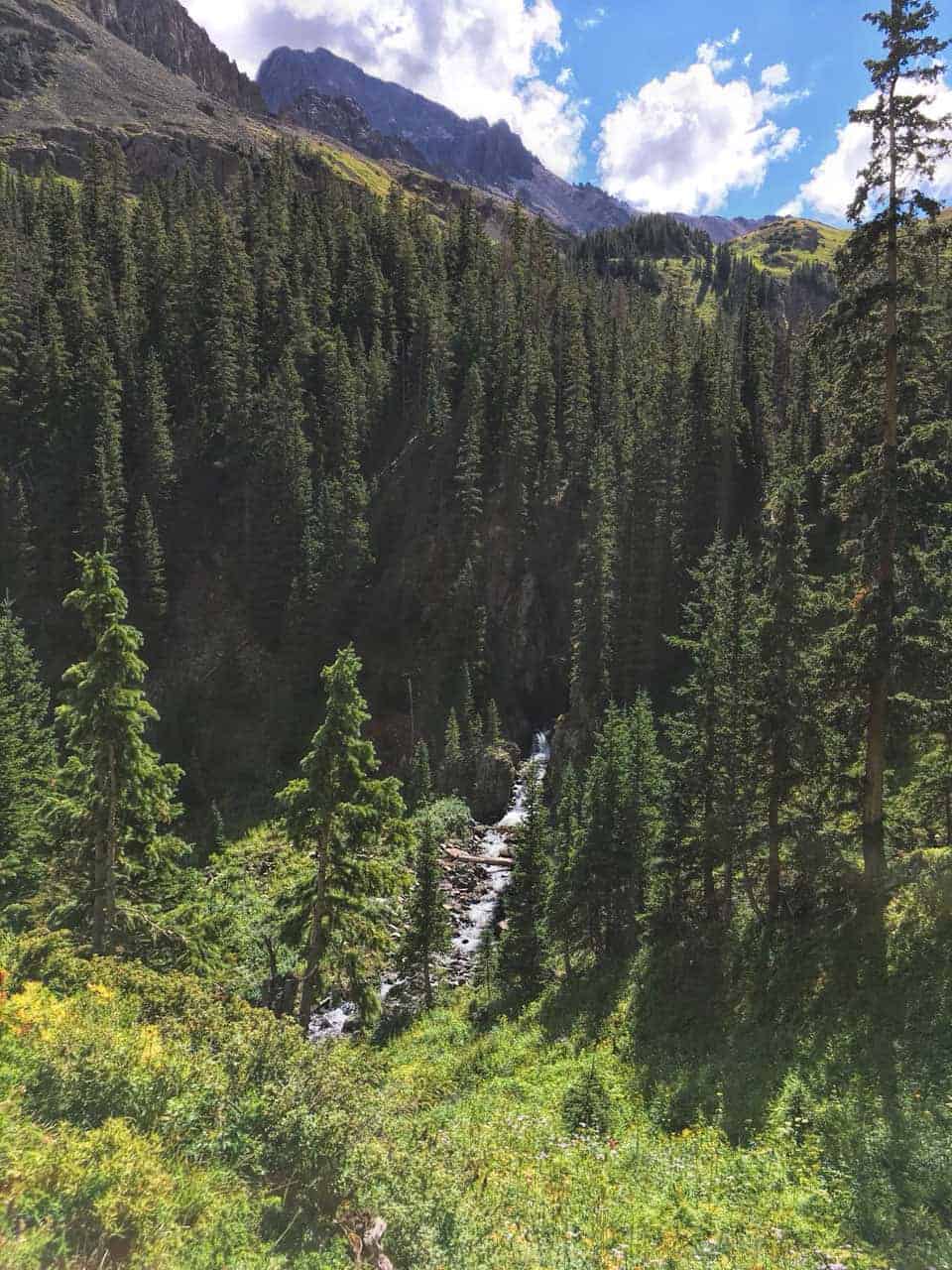 A small waterfall tumbling through a dense spruce forest below a rocky peak