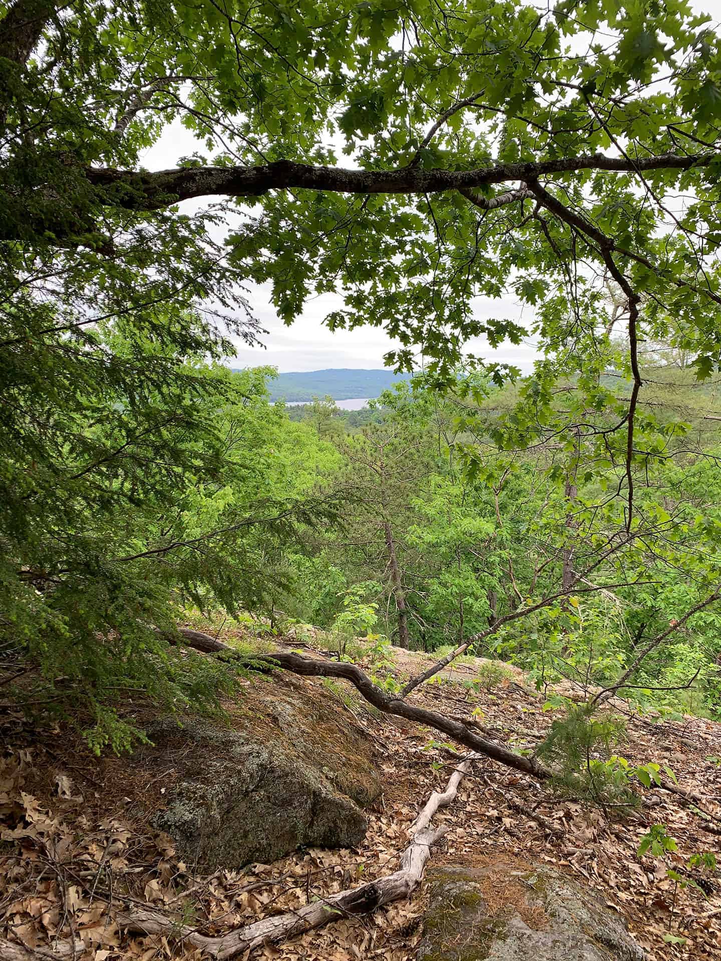 A cloudy overlook from the Cockermouth Ledge Loop trail with green hills below