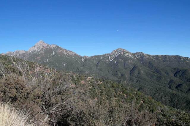 Coronado National Forest, Sonoita AZ
