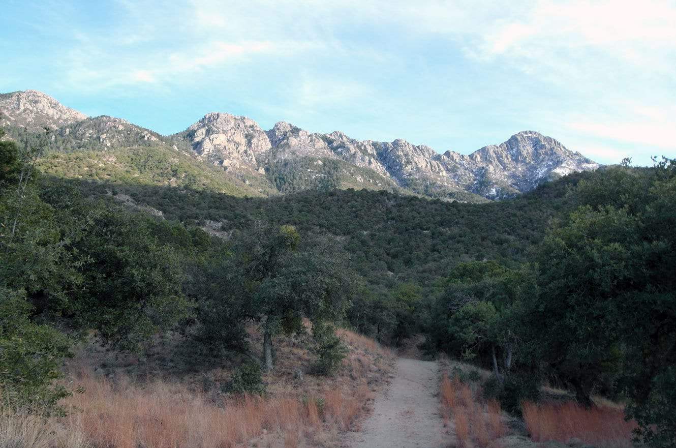 A trail winding through oak woodland toward a rugged, rocky mountain ridge