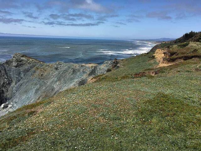 A grassy clifftop with an eroded golden cliff face, overlooking a long sandy beach curving into the distance