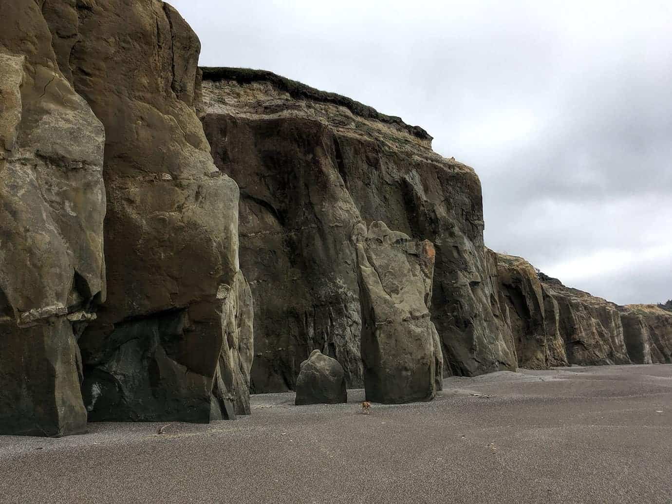 Massive layered sandstone cliff formations and rock spires along the beach, with Teddy standing small at their base