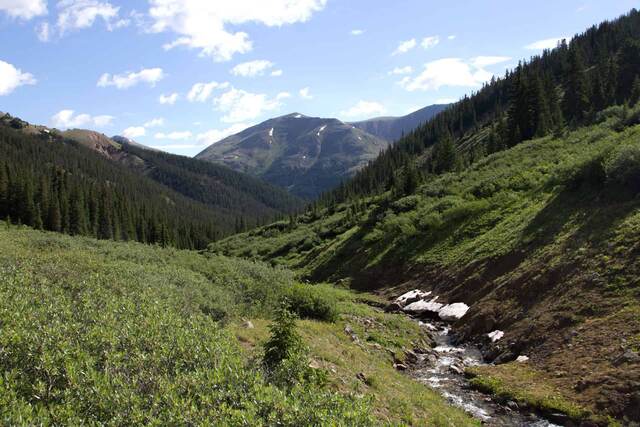A wide green valley with a forested slope on one side and a stream winding through a wildflower meadow below distant peaks
