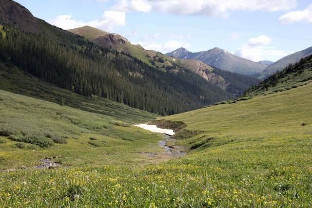 A forested valley opening onto a green basin with distant mountain ridges and a small patch of snow by the stream