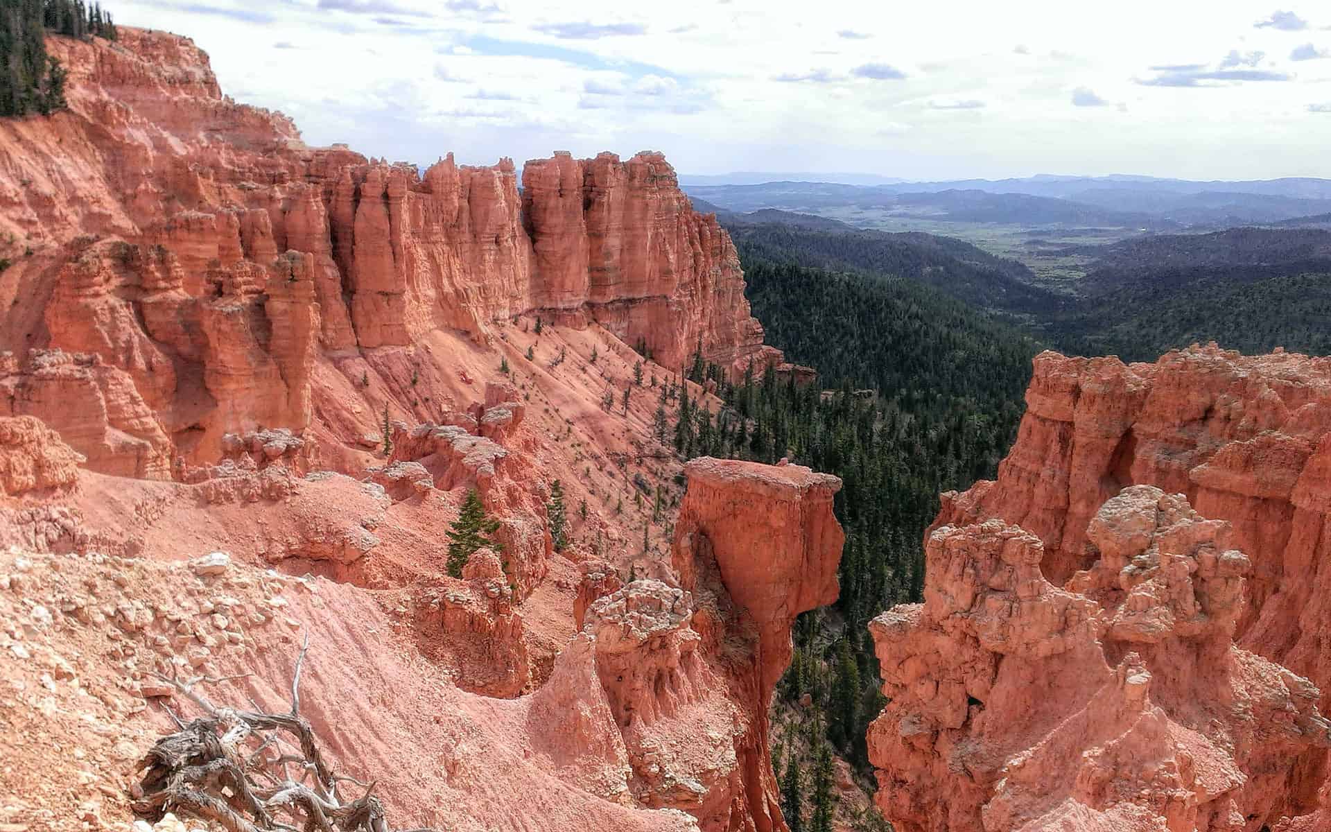 Grandview Trail in Dixie National Forest