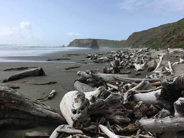 A driftwood-strewn beach leading toward a rocky headland with a lighthouse in the distance