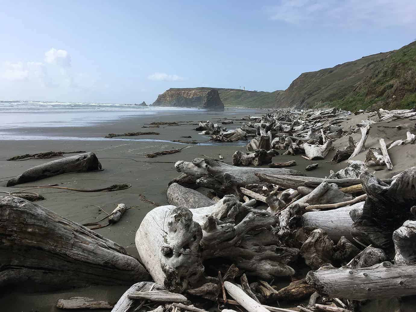 A driftwood-strewn beach leading toward a rocky headland with a lighthouse in the distance