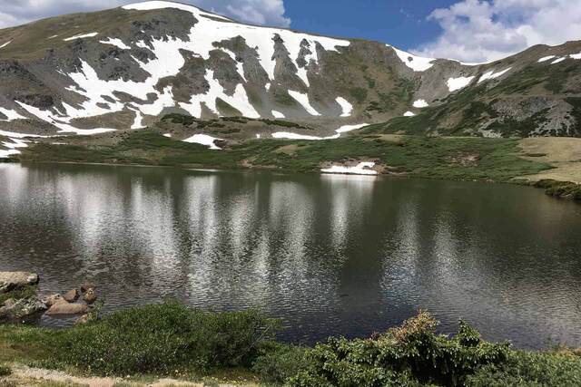 Ptarmigan Lake framed by pine trees with a snow-streaked peak rising above it under a clear blue sky