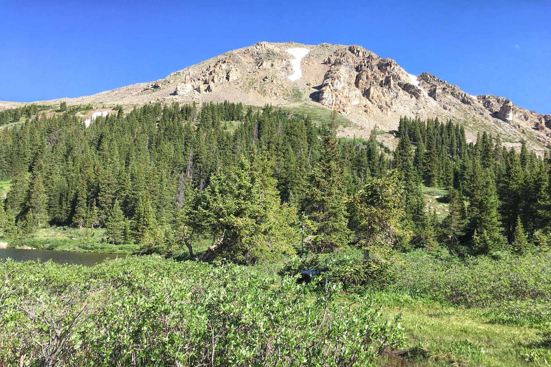 A view across Kroenke Lake toward a dense spruce forest and a snow-patched mountain peak