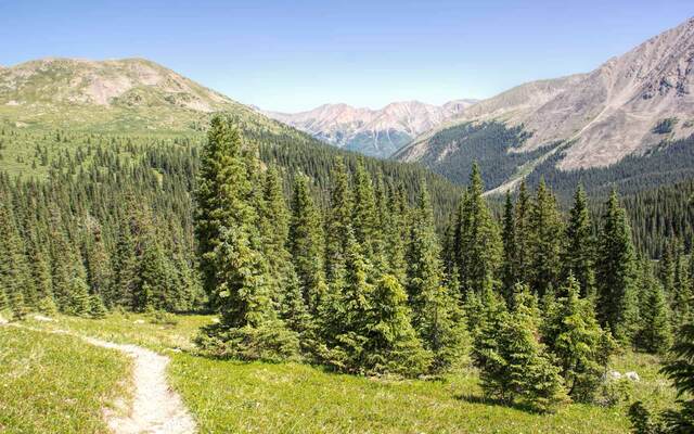 Trail to Lake Ann, WInfield CO