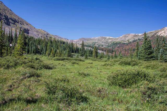 Little Cochetopa Creek Trail, Salida Ranger District CO