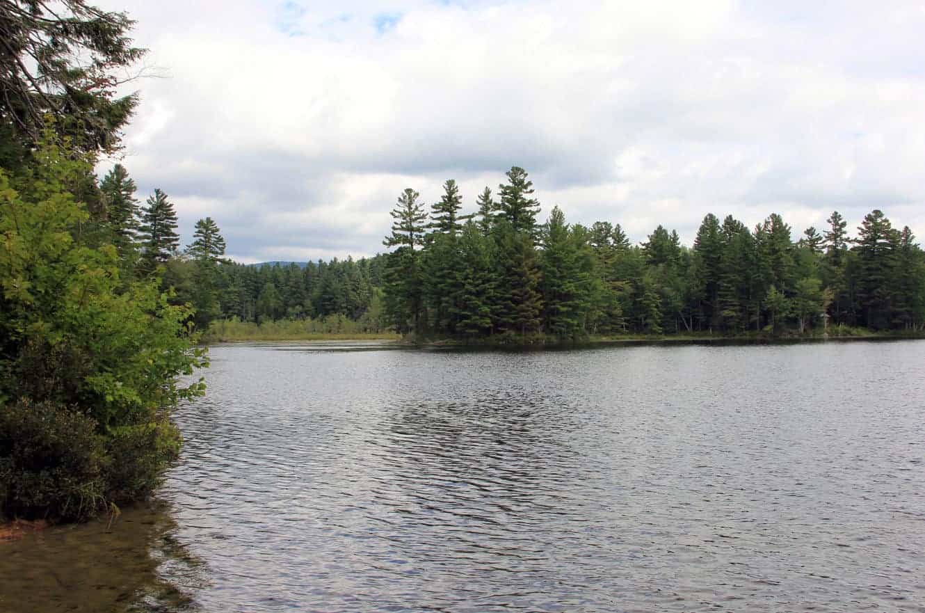 A view across Lowell Lake from a bushy shoreline, with a low mountain visible on the horizon