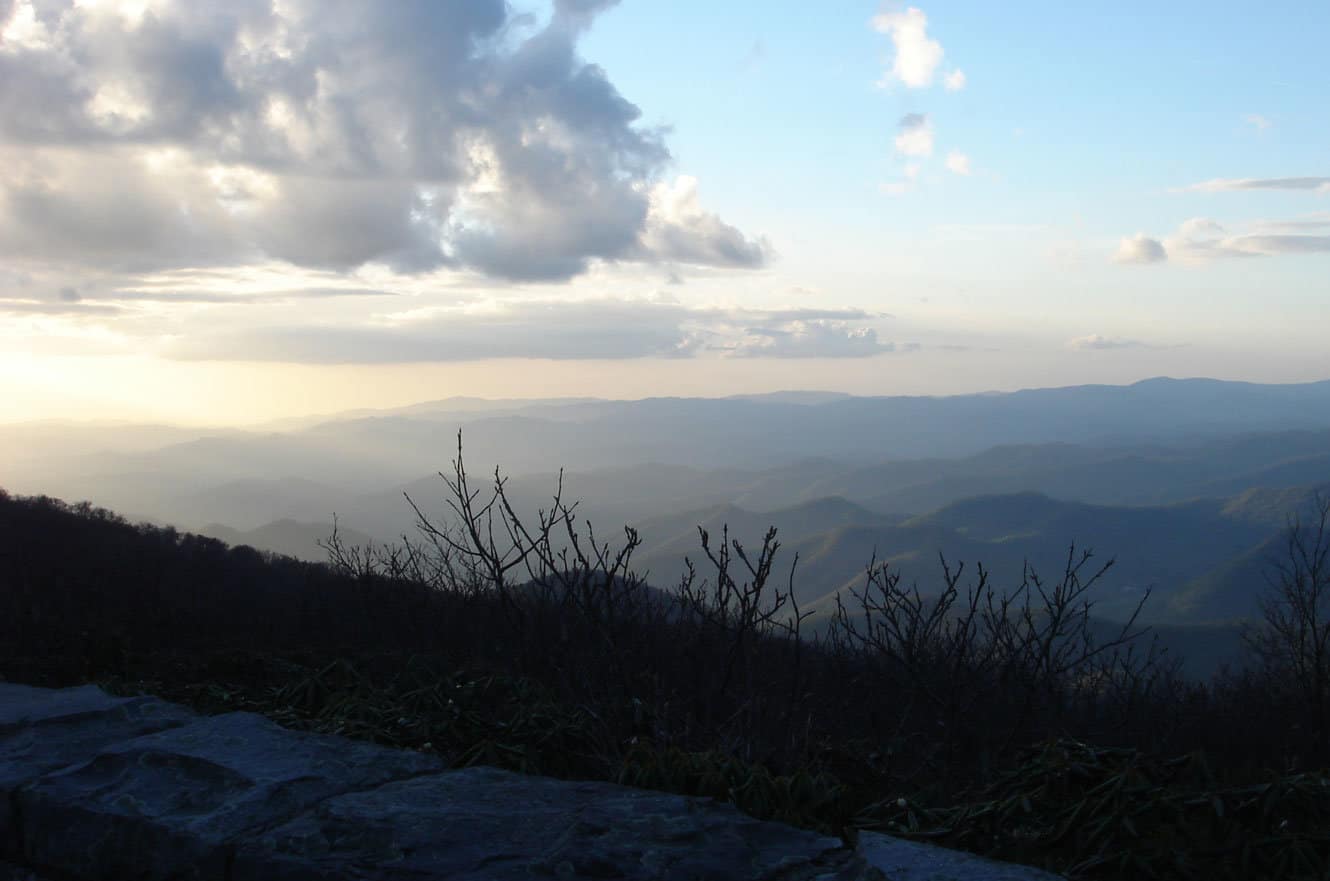 A pine tree framing a hazy view of the Blue Ridge Mountains and valley below