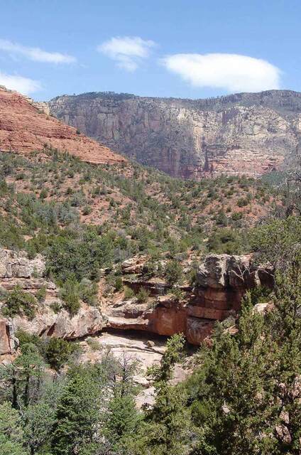 Red rock formations and forested cliffs in Oak Creek Canyon, Coconino National Forest