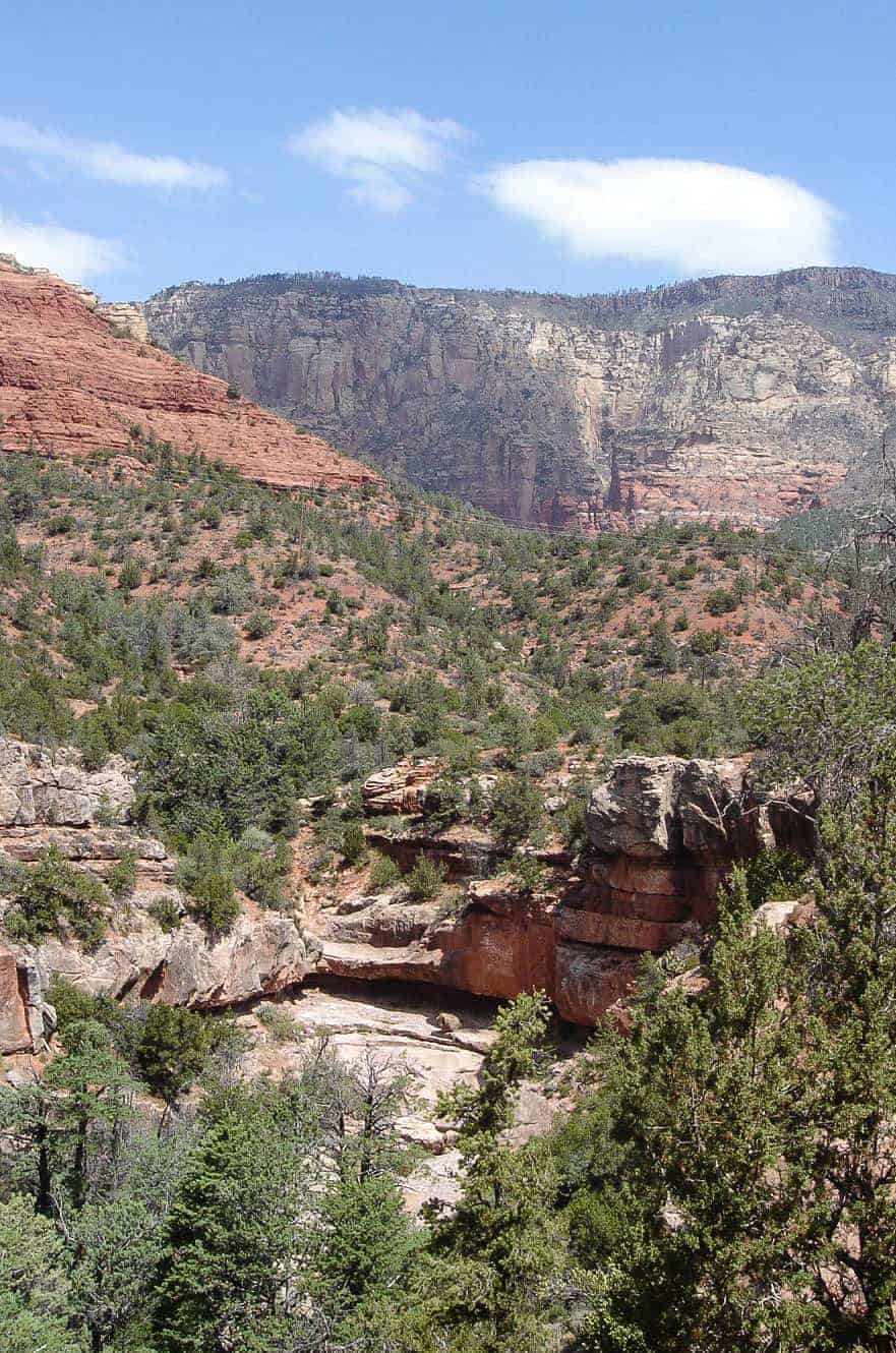 Red rock formations and forested cliffs in Oak Creek Canyon, Coconino National Forest