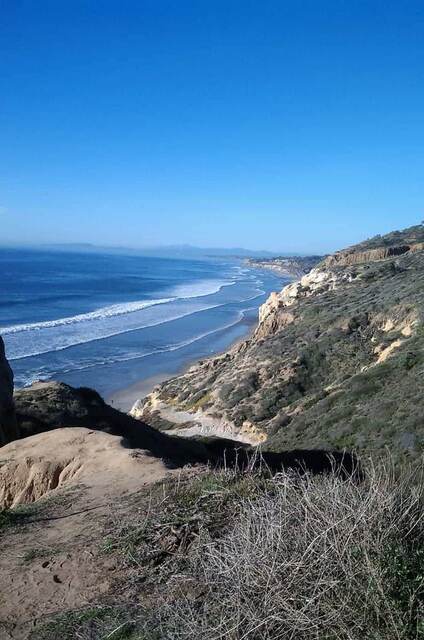 A trail winding down sandy cliffs to the beach at Torrey Pines State Natural Reserve, California
