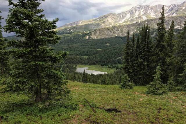 A view down a forested valley to a small lake, framed by spruce trees, with storm clouds and snow-capped peaks beyond