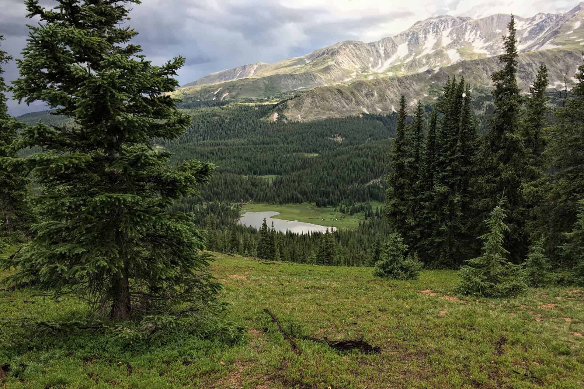 A view down a forested valley to a small lake, framed by spruce trees, with storm clouds and snow-capped peaks beyond