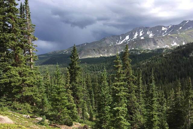 Dark storm clouds hanging over a forested ridge with snow-patched mountains, spruce trees in the foreground