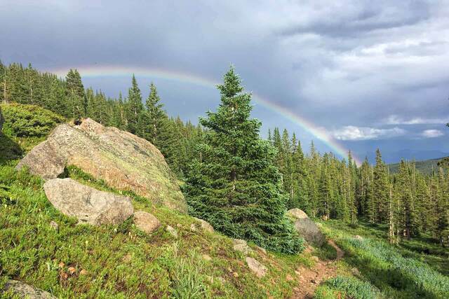 A vivid rainbow arcing over a forested hillside dotted with granite boulders and spruce trees