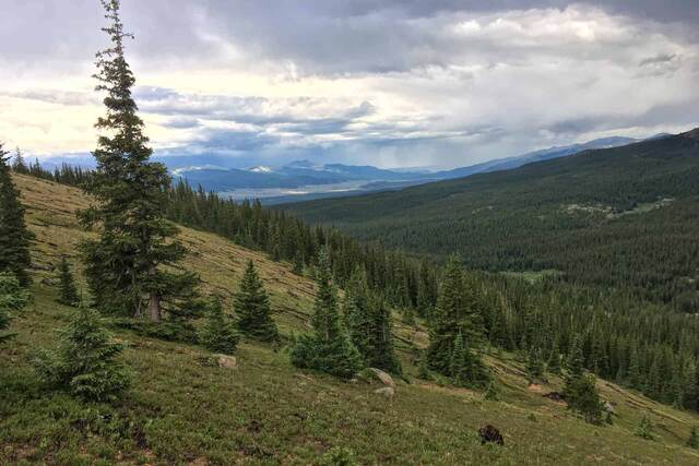 A wide view down a forested valley toward hazy mountains under a stormy sky, with a small town visible in the distance