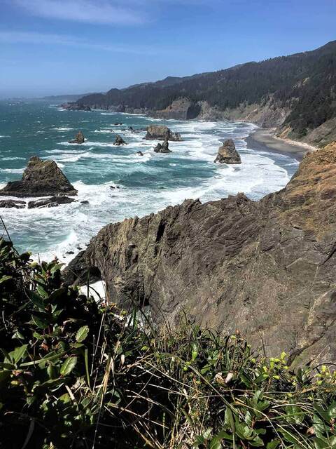 A wide view of the rugged coastline with jagged sea stacks scattered through the turquoise surf and forested cliffs receding into the distance