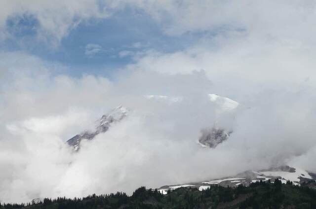 Mount Rainier's icy summit partly veiled by thick clouds, with evergreens in the foreground