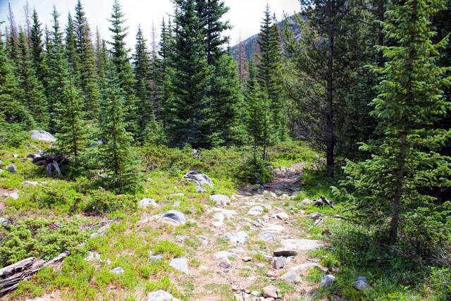 A rocky, pine-forested trail climbing toward a distant mountain peak visible through the trees