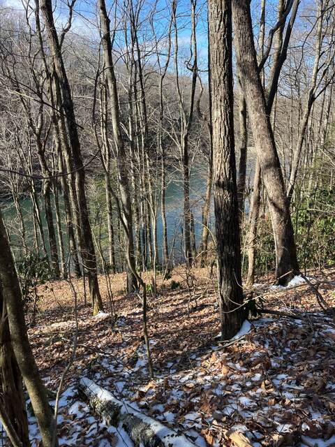 Looking down through trees at the lake