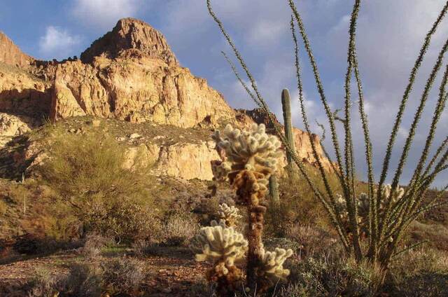 Picketpost Mountain, Superior AZ