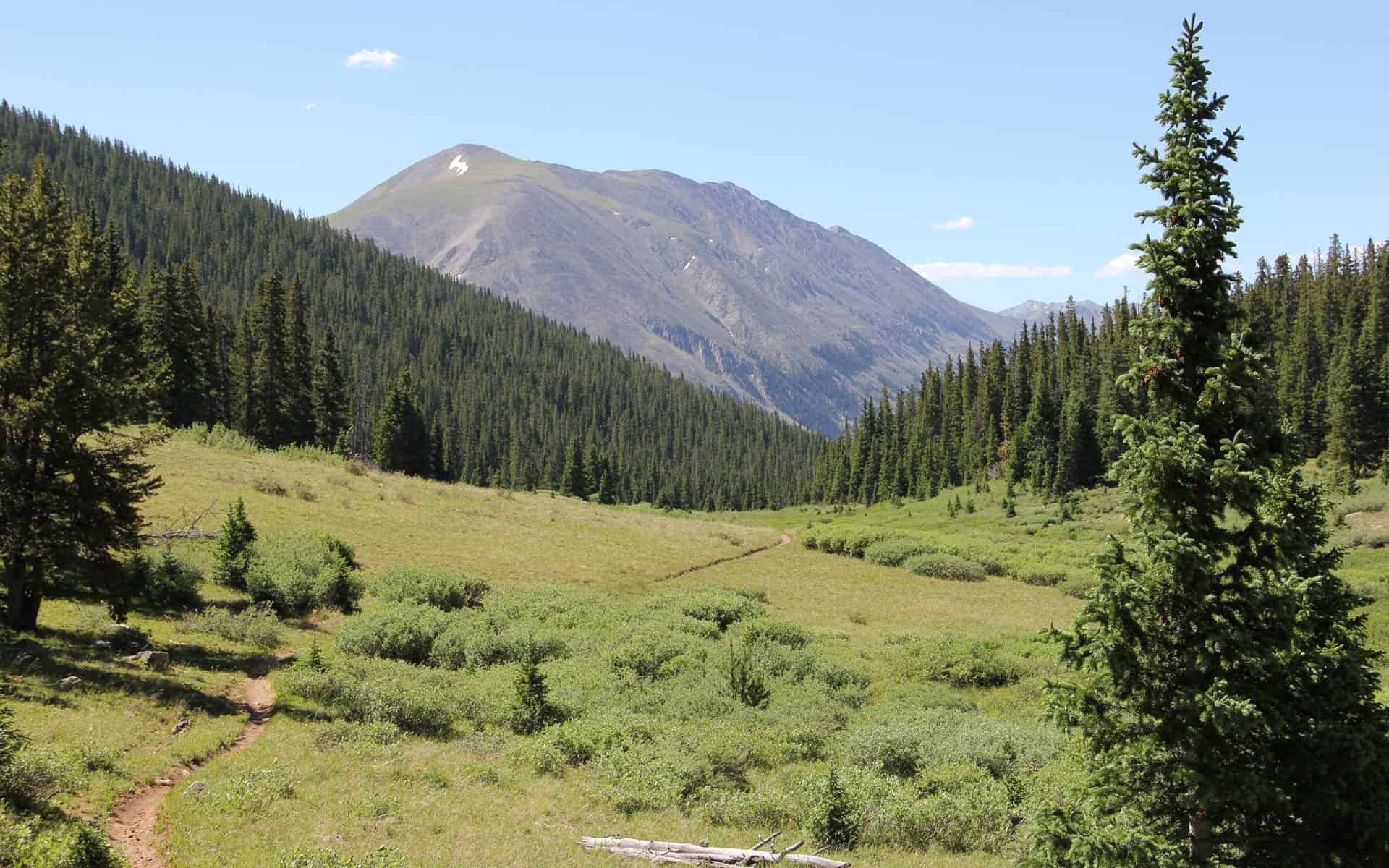 The view on Poplar Gulch Trail, Saint Elmo CO